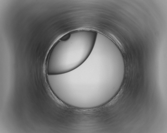 X0000113040900200908271032