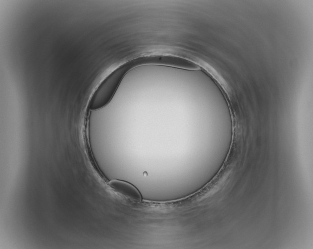 X0000113040901200908271032