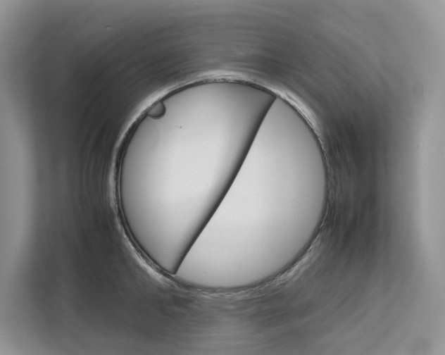 X0000113040902200908271032