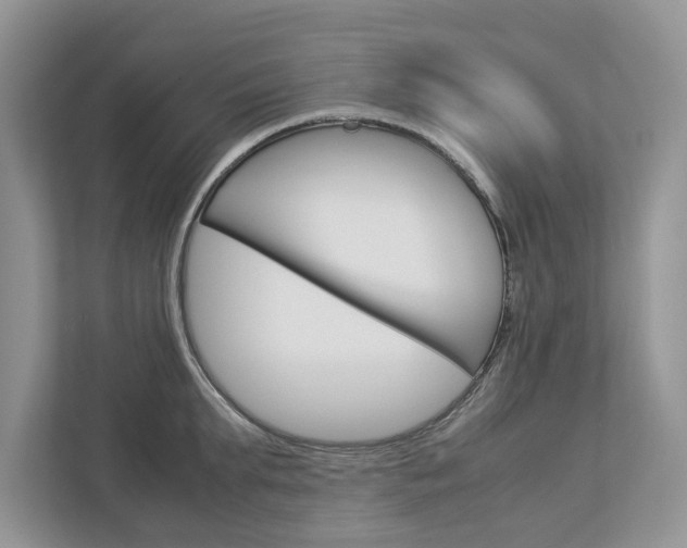 X0000113040903200908271032