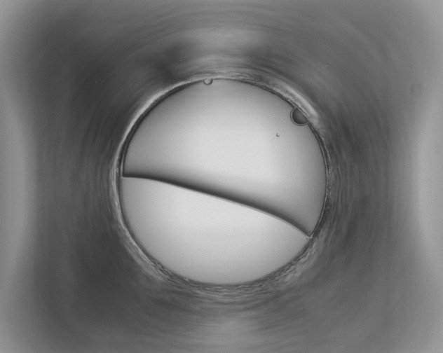 X0000113040907200908271032