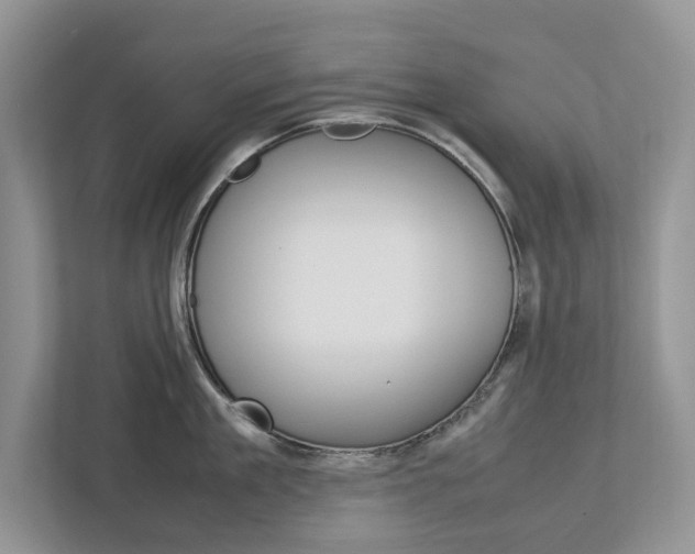 X0000113040909200908271032