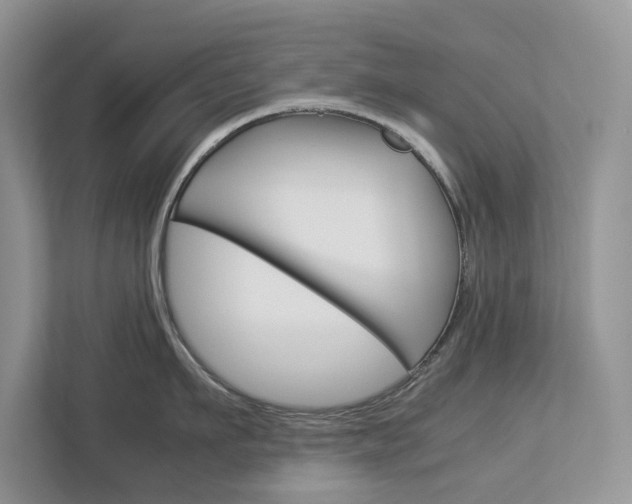 X0000113040911200908271032
