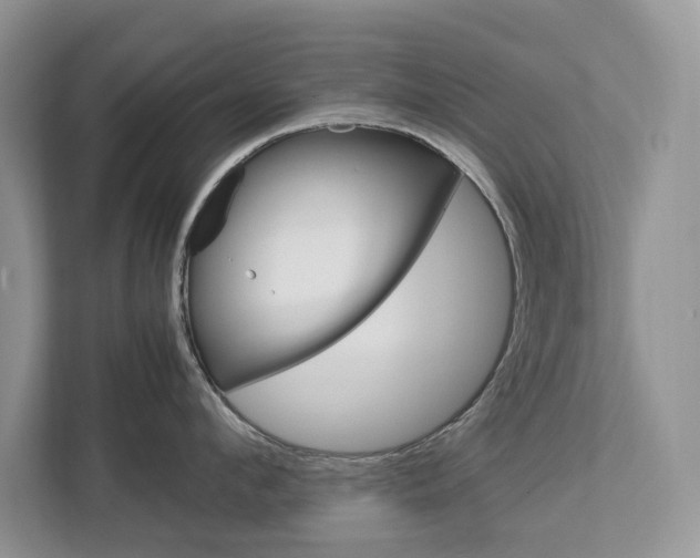 X0000113040912200908271032