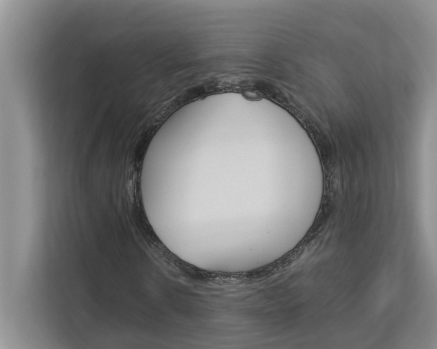 X0000113040914200908271031