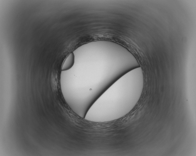 X0000113040915200908271031