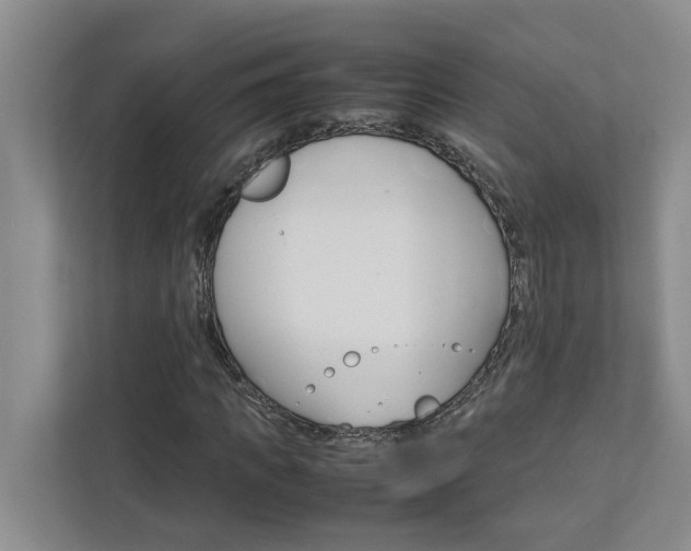 X0000113040917200908271031
