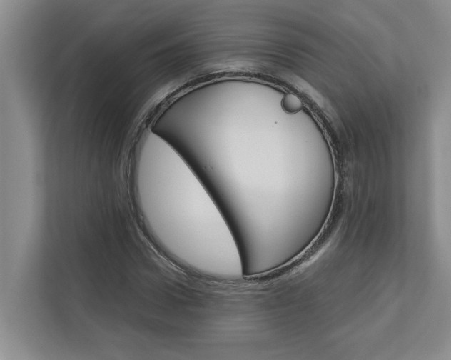 X0000113040922200908271031