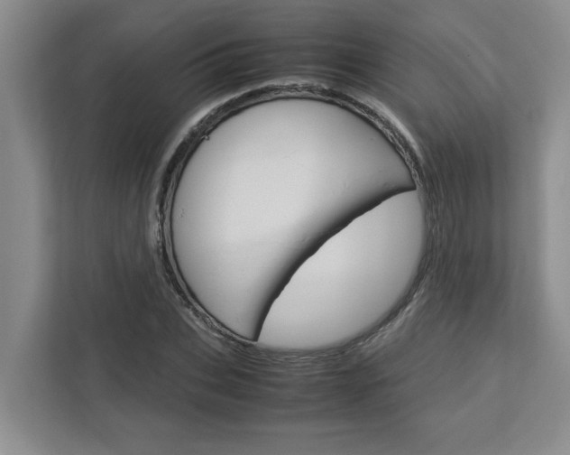 X0000113040927200908271031