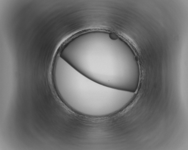 X0000113040928200908271031