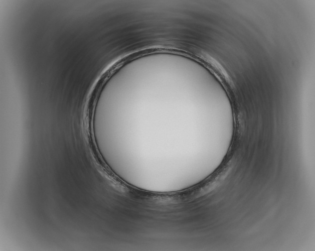 X0000113040931200908271031