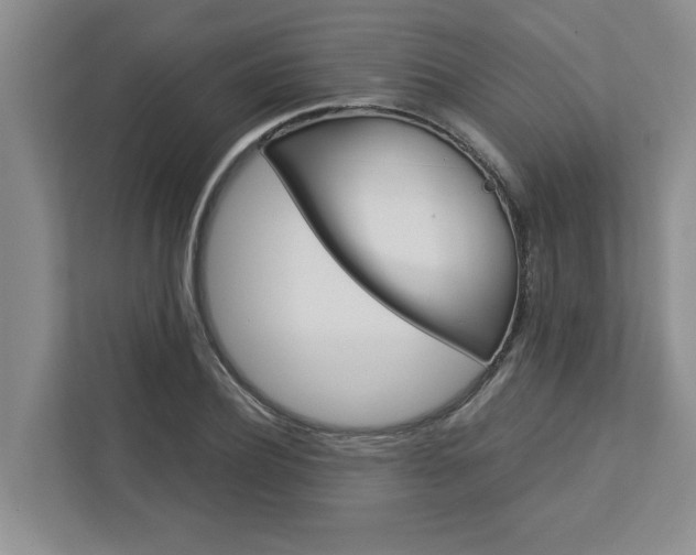 X0000113040932200908271031