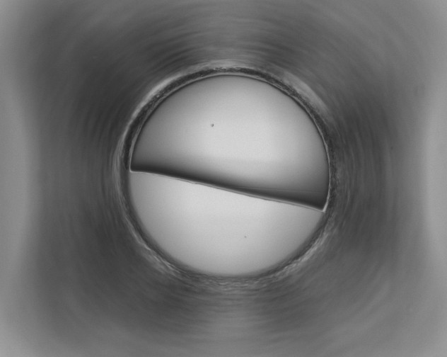 X0000113040934200908271031
