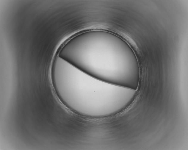 X0000113040936200908271031