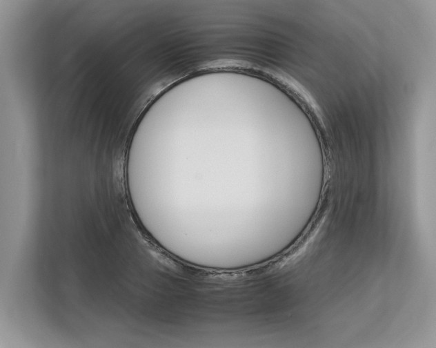 X0000113040937200908271031