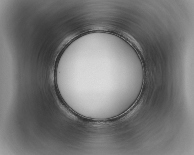 X0000113040938200908271031