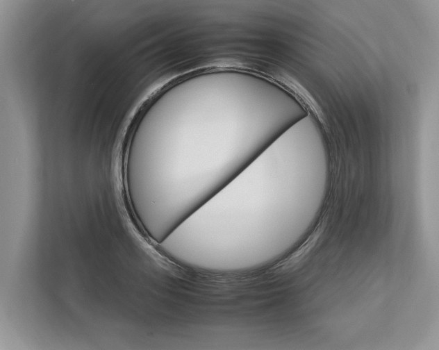 X0000113040939200908271031