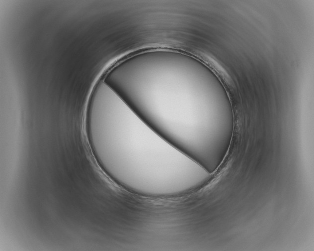 X0000113040940200908271031