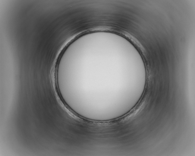 X0000113040941200908271031