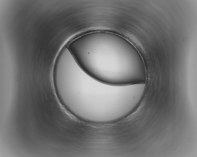 X0000113040942200908271031
