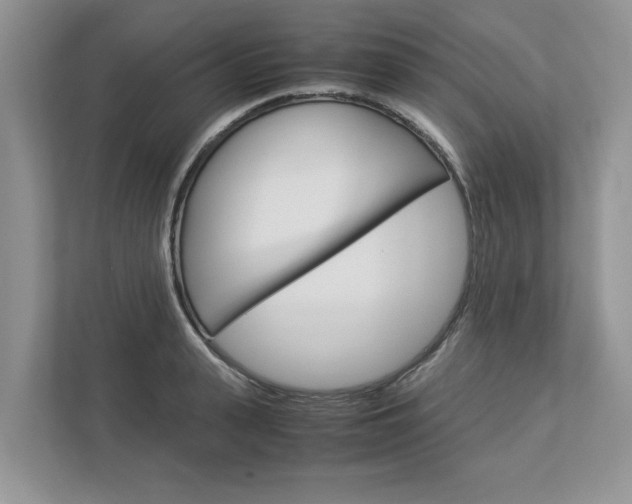 X0000113040943200908271031