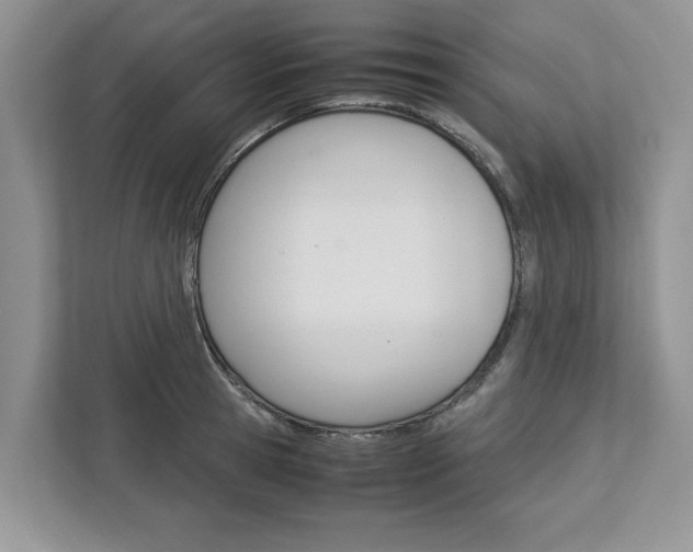 X0000113040945200908271031