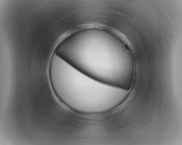 X0000113040946200908271031