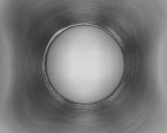 X0000113040948200908271031