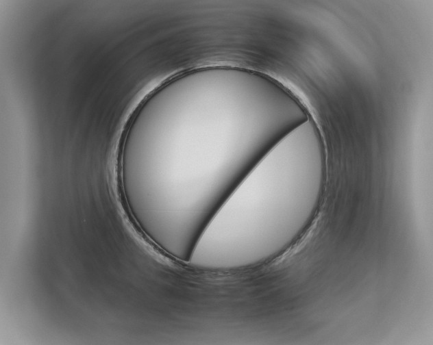 X0000113040949200908271031
