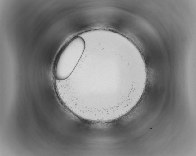 X0000113040950200908271032