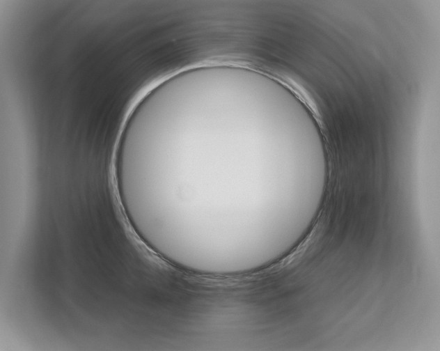 X0000113040952200908271032