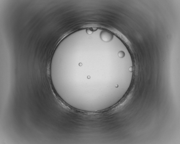 X0000113040953200908271032