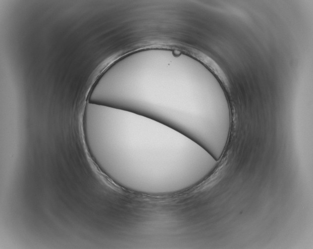 X0000113040954200908271032