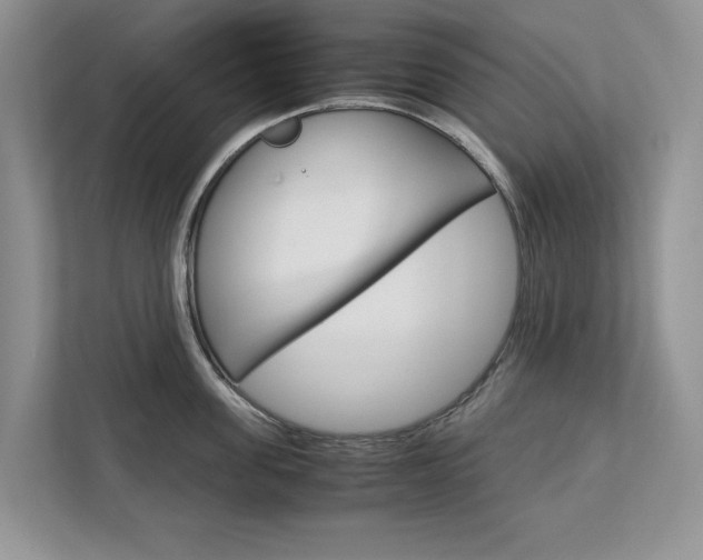 X0000113040955200908271032