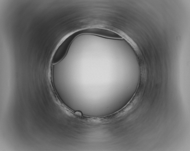X0000113040956200908271032