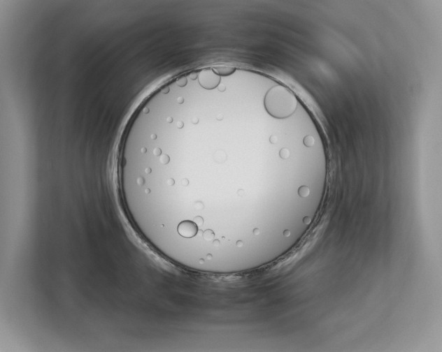 X0000113040957200908271032