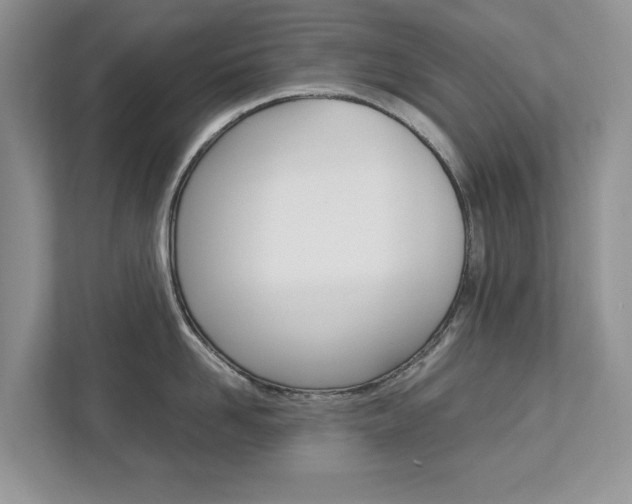X0000113040958200908271032