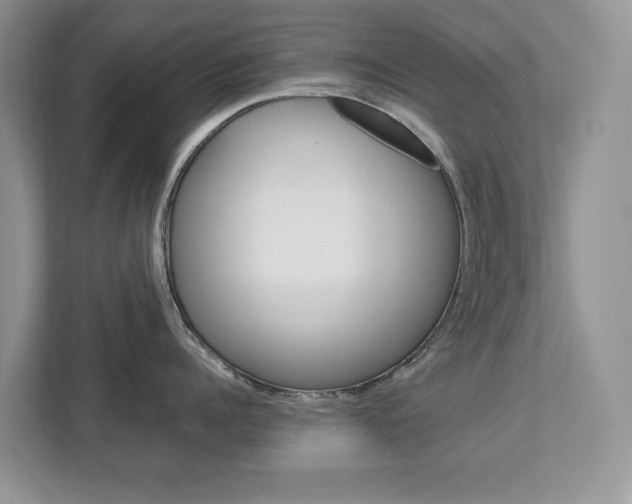 X0000113040960200908271032