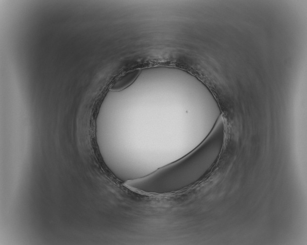 X0000113040961200908271031
