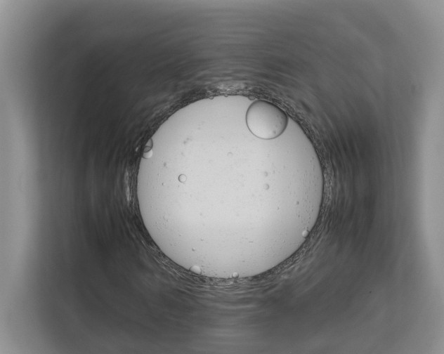 X0000113040962200908271031