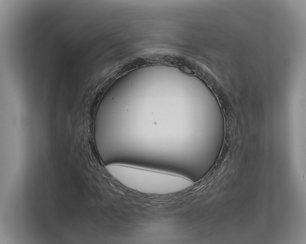 X0000113040965200908271031