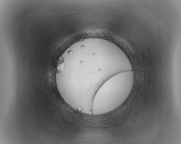 X0000113040966200908271031