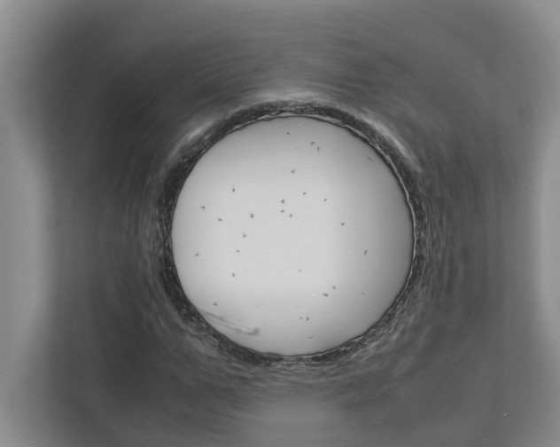 X0000113040967200908271031