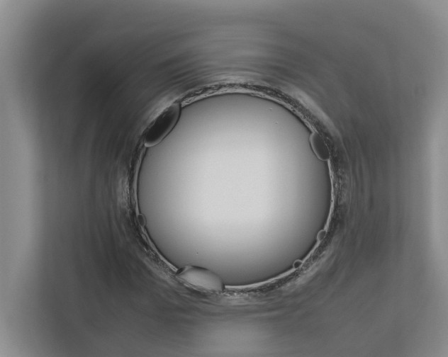 X0000113040969200908271031