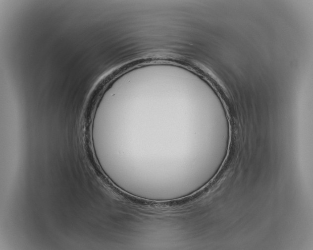 X0000113040971200908271031