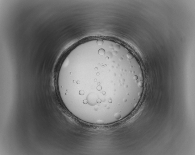 X0000113040974200908271031