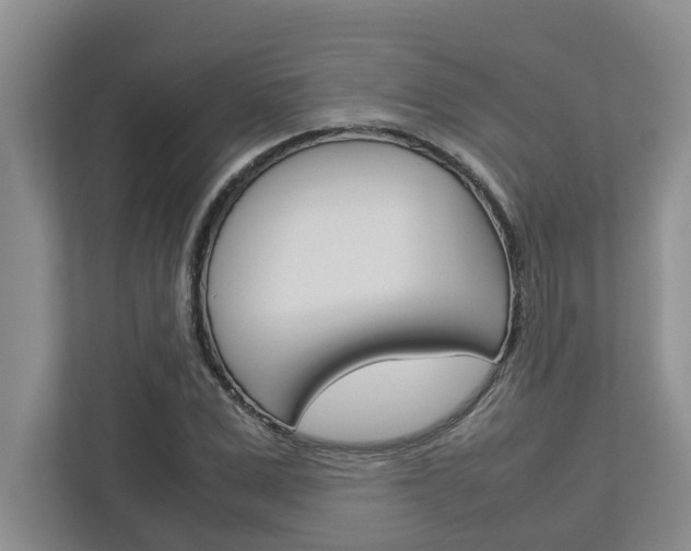 X0000113040975200908271031