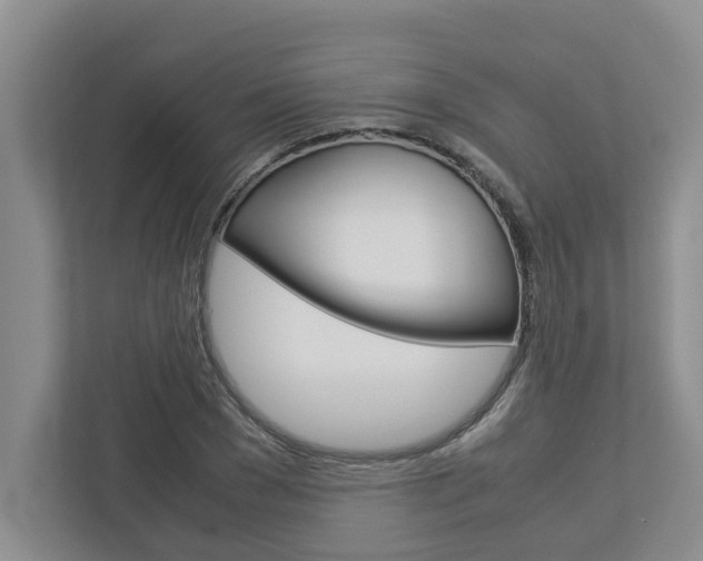 X0000113040977200908271031