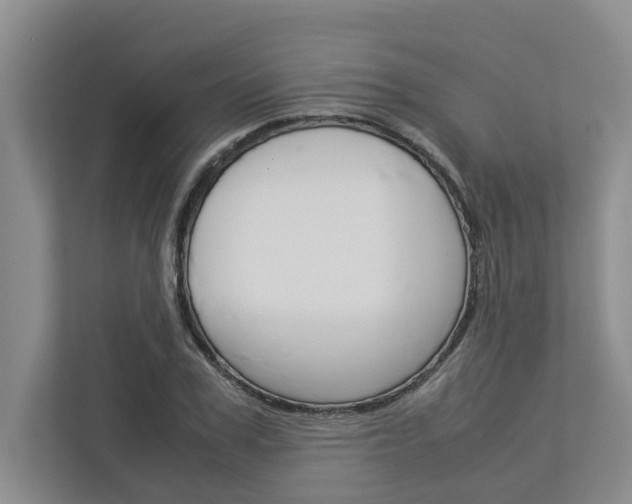 X0000113040979200908271031