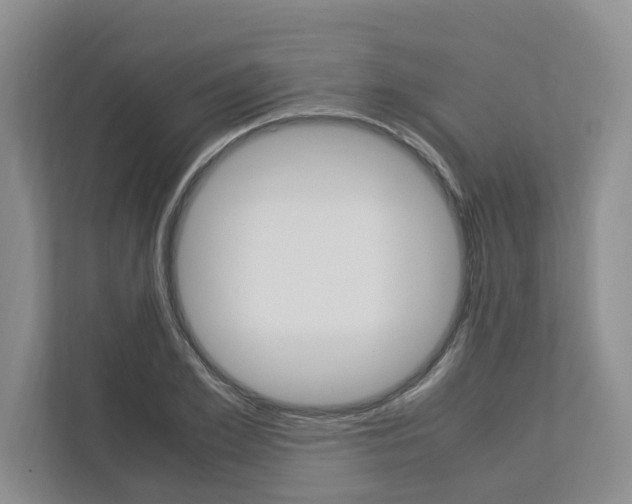 X0000113040981200908271031
